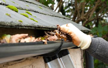 gutter cleaning Kenmore